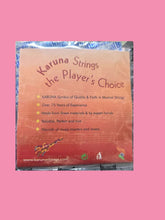 Karuna Brand Veena Cornet Saraswati Veena Complete Strings – Taal Musicals